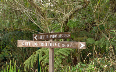 Quelles sont les meilleures randonnées à faire à la Réunion ?