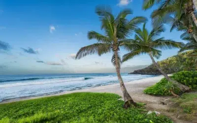 Quelles sont les plus belles plages à la Réunion ?